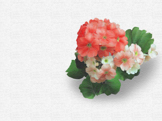 303213 (a): :1024x768